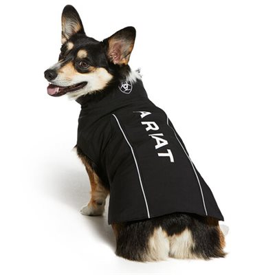 ARIAT TEAM SOFTSHELL DOG JACKET BLACK LOGO WHITE SMALL