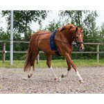 LUNGING REIN DOUBLE BLACK 16M