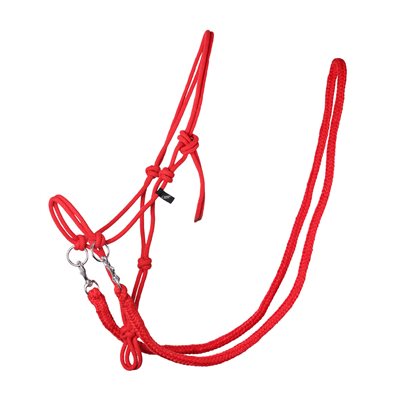 ROPE HALTER WITH REIN BRIGHT RED SZ:COB