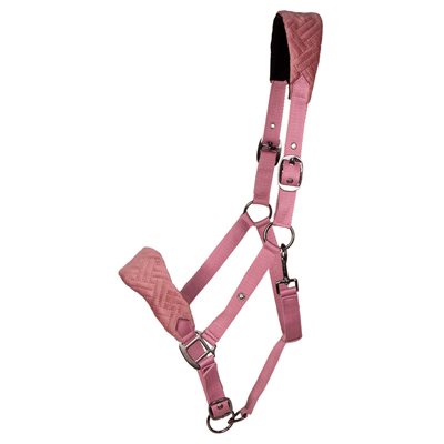 QHP HALTER SUMMER GLOW BLUSH PONEY