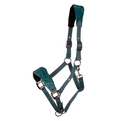 QHP HALTER SUMMER GLOW TEAL COB