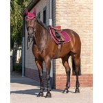 TENDON BOOTS SET FRONT AND REAR QHP MAROON PONY