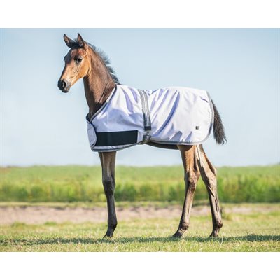 QHP FOAL RUG TURNOUT COLLECTION 100GR LAVENDER 31