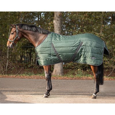 QHP STABLE SHEET 200 GR BOTANISTA SZ.76