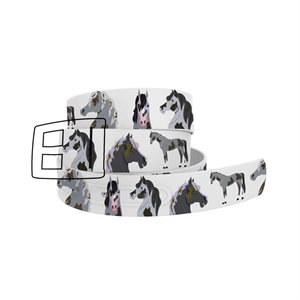 CEINTURE C4 CHEVAUX PAINT GRIS