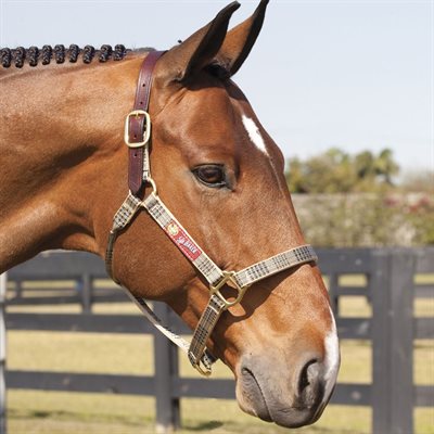 LEATHER CROWNS FOR HALTER BAKER