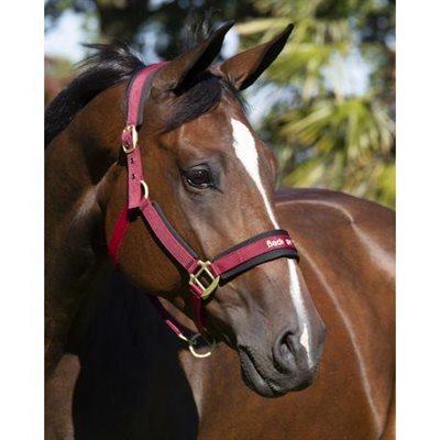 BACK ON TRACK WINE RED HALTER SIZE : COB