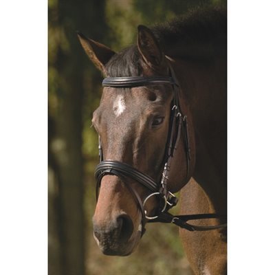 HENRI DE RIVEL DRESSAGE PADDED BRIDLE WITH FLASH BLACK FULL