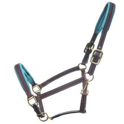 SAGE FAMILY LEATHER HAVANA HALTER WITH TURQUOISE PADDING FULL