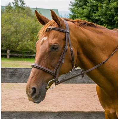 KUSHY HENRI DE RIVEL BRIDLE FANCY STITCH WITH REINS BROWN COB