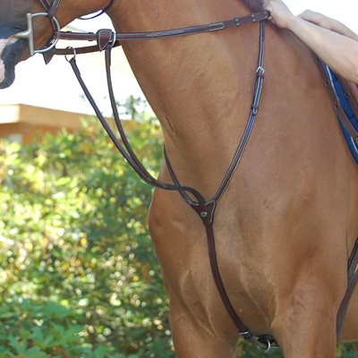 DY'ON BROWN RUNNING MARTINGALE STYLE HUNTER SIZE FULL