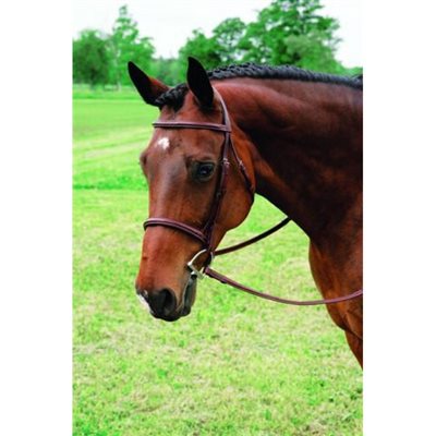 VESPUCCI FANCY BRIDLE BROWN COB