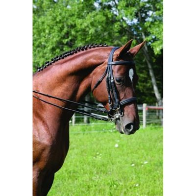 VESPUCCI SC WEYMOUTH DOUBLE BRIDLE BLACK HORSE