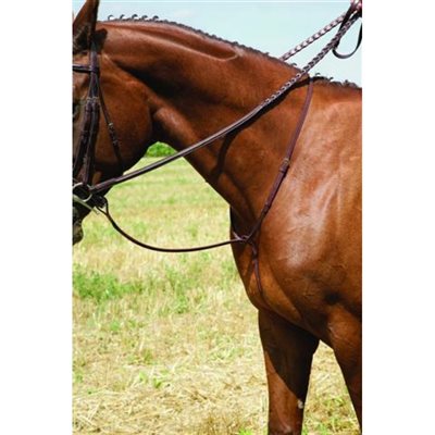 MARTINGALE VESPUCCI FANCY STANDING BRUN