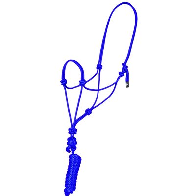 HALTER - ROPE AND LEAD PURPLE