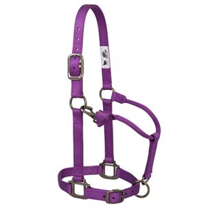 HALTER ADJUSTABLE MOSAIC SMALL PURPLE