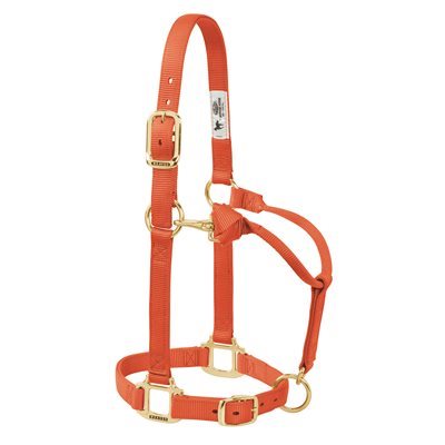 WEAVER HALTER ADJUSTABLE ORANGE LARGE