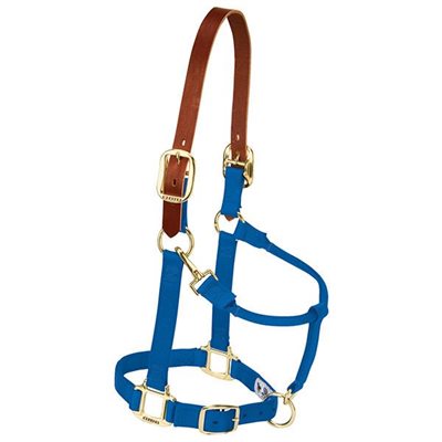 HALTER MEDIUM BREAKAWAY BLUE LEATHER CROWN