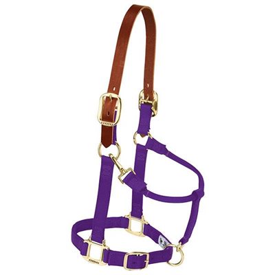 HALTER MEDIUM BREAKAWAY PURPLE LEATHER CROWN