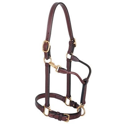 TRACK HALTERS LARGE HORSE MAHOGANY