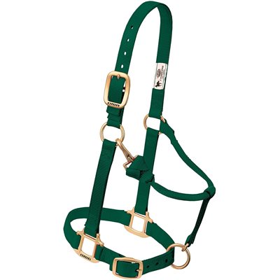 LICOU AJUSTABLE CHIN&THROAT 3 / 4'' ARABE / COB VERT FORET