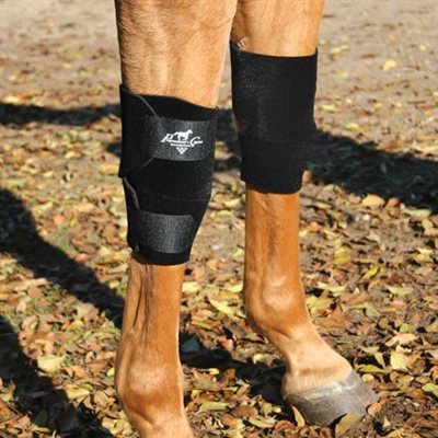 EQUINE KNEE BOOTS PC