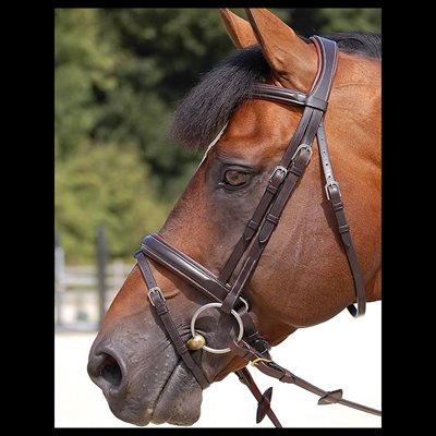 BRIDE DE DRESSAGE DY'ON WORKING NOIR LARGE COB