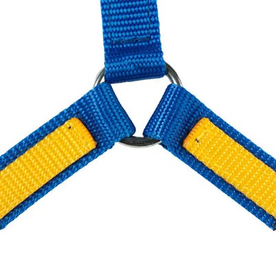 BREAST COLLAR EN Y EN NYLON BLEU / JAUNE