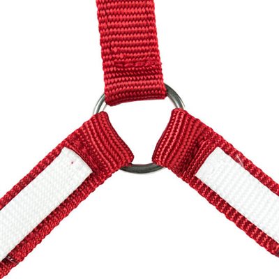 Y-SHAPED BREAST COLLAR EN NYLON RED / WHITE