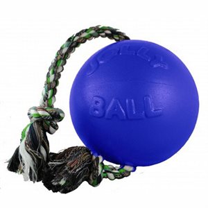 BALLON JOLLY BALL AVEC CORDE POUR CHIEN BLEU 8''