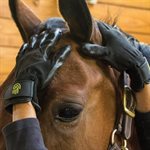 GANTS A GROOMING HANDS-ON SMALL