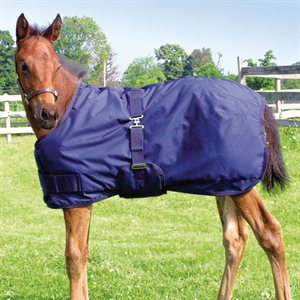 FOAL / MINI NAVY BLANKET 220GR 