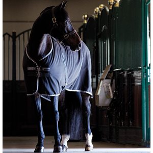 RAMBO STABLE SHEET BLACK / LIGHT GREY / DARK GREY - 81