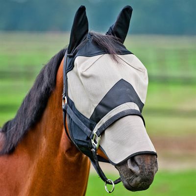 MASQUE A MOUCHE AVEC OREILLE COB