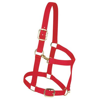 NYLON DRAFT HORSE HALTERS LARGE RED