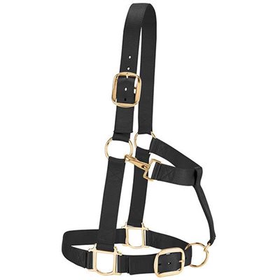 NYLON DRAFT HORSE HALTERS LARGE BLACK