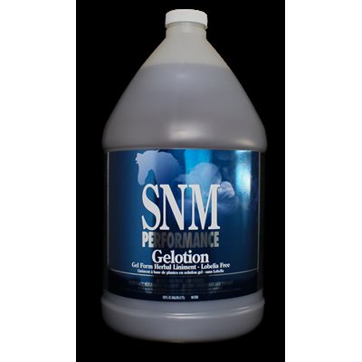 LINIMENT GELOTION SORE NO MORE PERFORMANCE GALLON