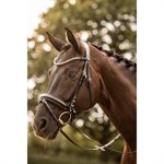 HORZE BRIDLE ERGONOMIC CRYSTAL BROWBAND BLACK COB