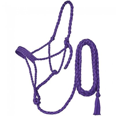 ROPE HALTER WITH LEAD PURPLE FULL