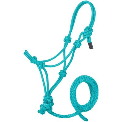 POLY ROPE HALTER WITH LEAD FOR MINI TEAL SZ.MEDIUM