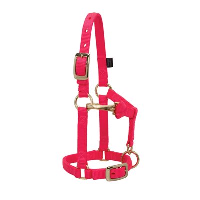 HALTER MINI LARGE DIVA PINK 5 / 8"