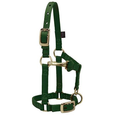 WEAVER ADJUSTABLE CHIN&THROAT HALTER MINI LARGE HUNTER GREEN 5 / 8"