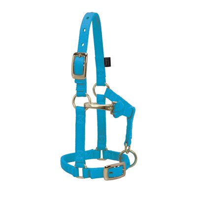 HALTER MINI LARGE HURRICANE BLUE 5 / 8"