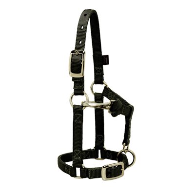 HALTER MINI LARGE BLACK 5 / 8"