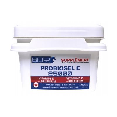 BIOPTEQ PROBIOSEL E 2KG 