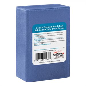 BLOC DE SEL COBALT 2 KG BLEU