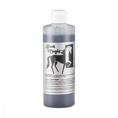 BLACK MAGIC LINIMENT FLEX-TITE 16OZ