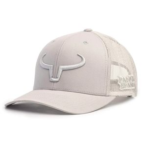 RANCH BRAND CAP SILVER MESH SYLVER LOGO SILVER