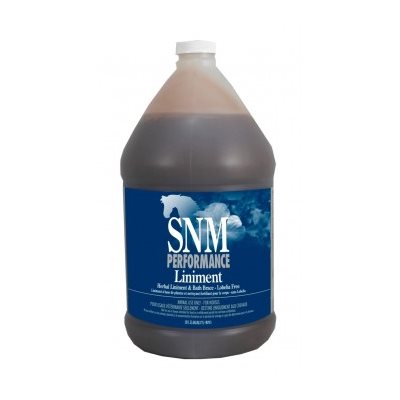 LINIMENT SORE NO MORE PERFORMANCE GALLON