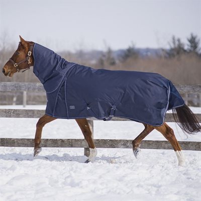 CANADIAN HORSEWEAR DIABLO WITH NECK TURNOUT NAVY 300GM 84"